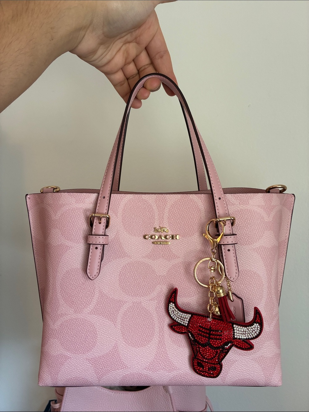 2/$20🎀 Crystal Embellished Chicago Bulls Keychain Charm